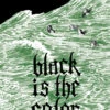 BLACK IS THE COLOR GN -ALLSTAR COMICS Sales STK615018