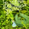BEAUTIFUL DARKNESS HC (RES) (MR) (C: 0-1-1) 2 BEAUTIFUL DARKNESS HC (RES) (MR) (C: 0-1-1) -ALLSTAR COMICS Sales STK622626