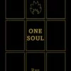 ONE SOUL 10TH ANNIVERSARY HC ED (MR) 1 ONE SOUL 10TH ANNIVERSARY HC ED (MR) -ALLSTAR COMICS Sales STL167607